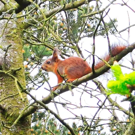 Prázdninový dům Secluded Retreat In Nature - By Traum Lønne Hede